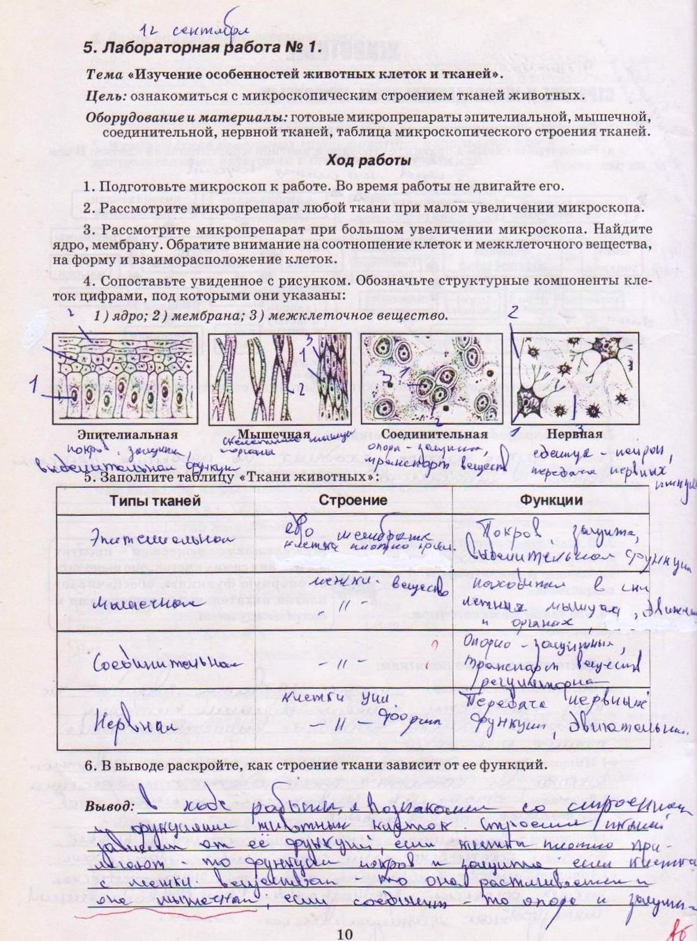 Робочий зошит з біології 8 клас А. Калінчук Страница str10
