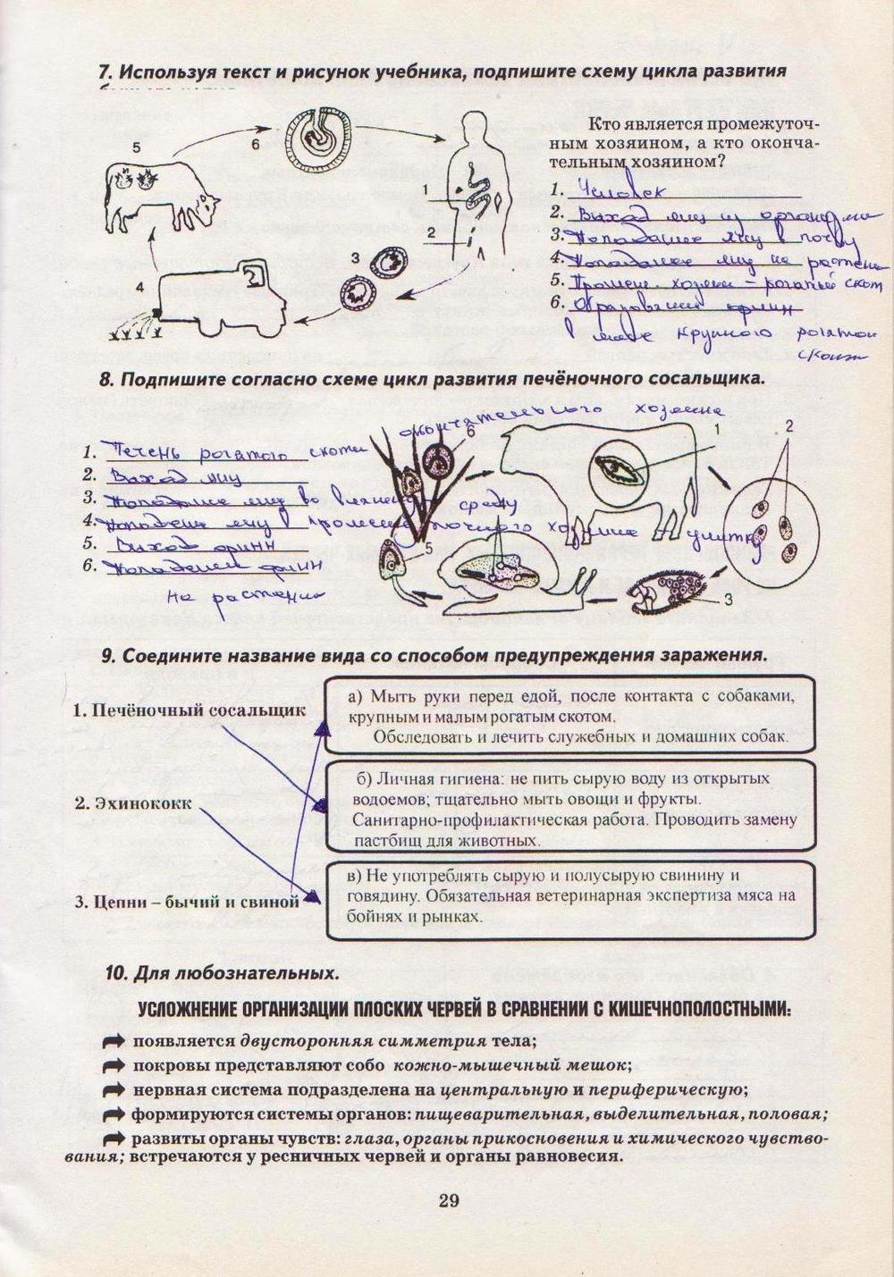 Робочий зошит з біології 8 клас А. Калінчук Страница str29