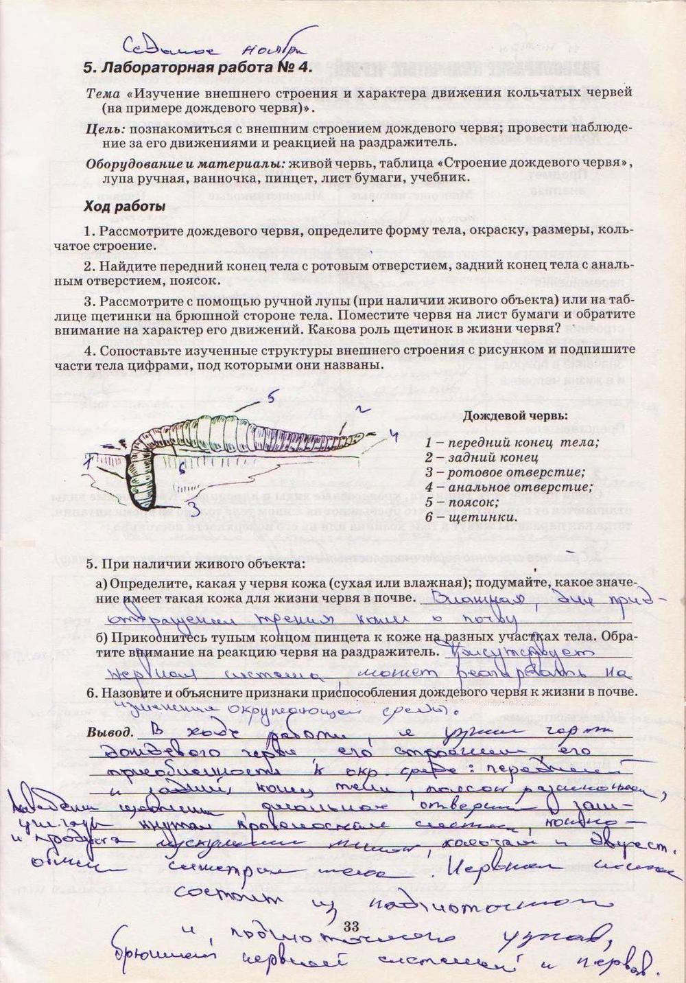 Робочий зошит з біології 8 клас А. Калінчук Страница str33