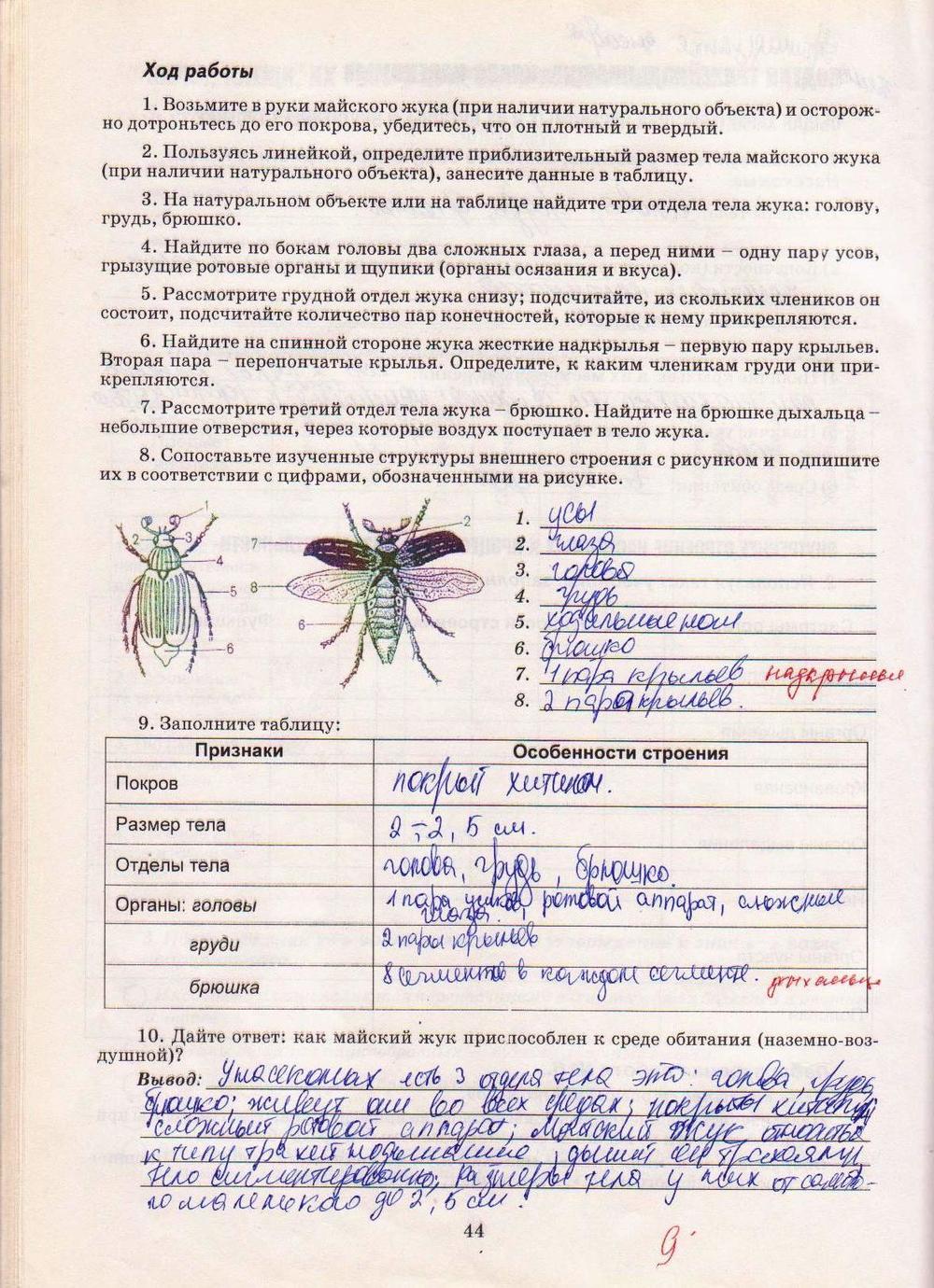Робочий зошит з біології 8 клас А. Калінчук Страница str44
