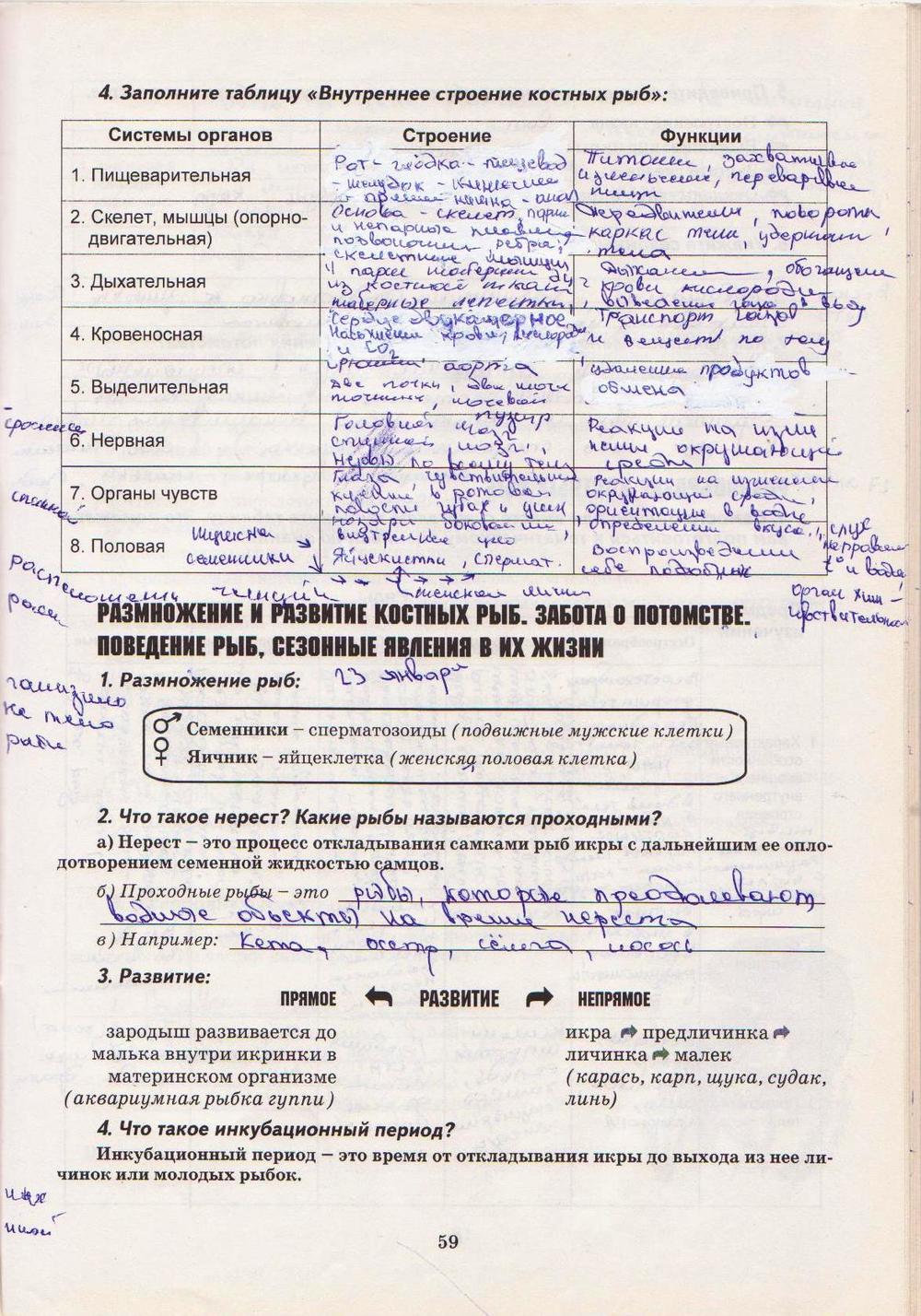 Робочий зошит з біології 8 клас А. Калінчук Страница str59