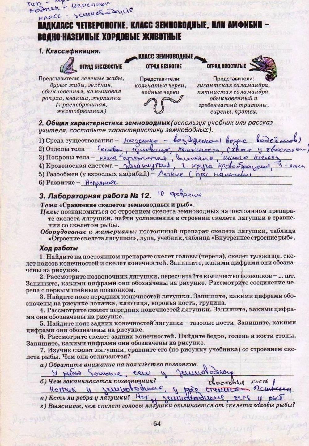 Робочий зошит з біології 8 клас А. Калінчук Страница str64