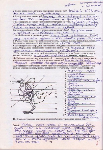 Робочий зошит з біології 8 клас А. Калінчук Страница str76