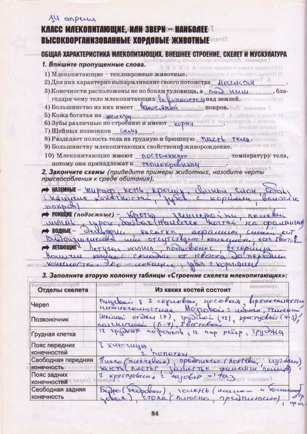 Робочий зошит з біології 8 клас А. Калінчук Страница str84