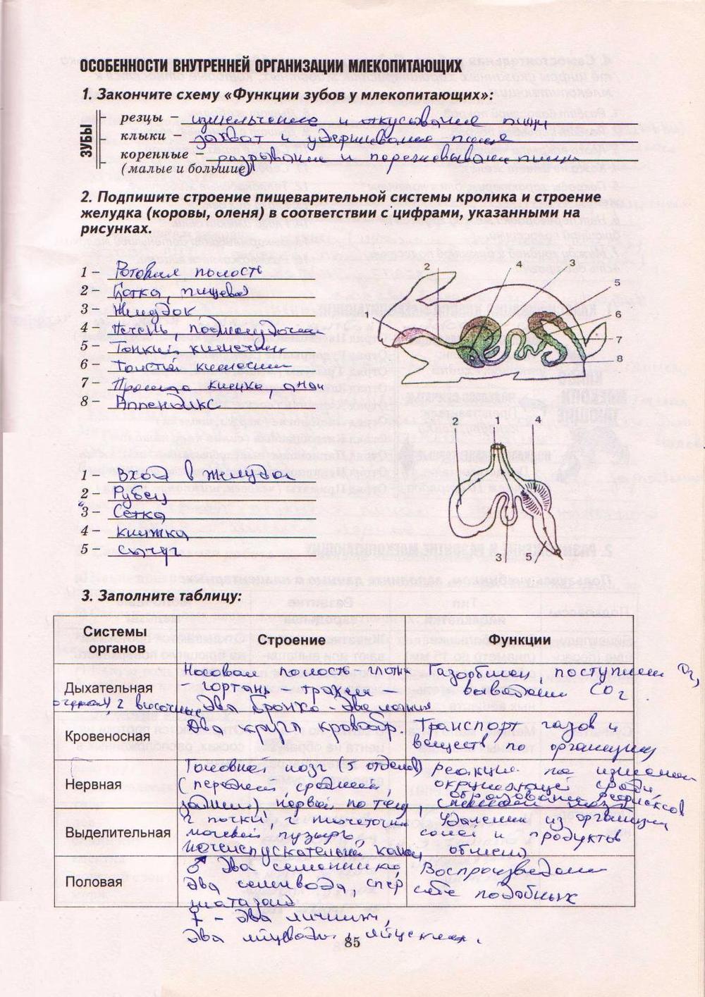 Робочий зошит з біології 8 клас А. Калінчук Страница str85
