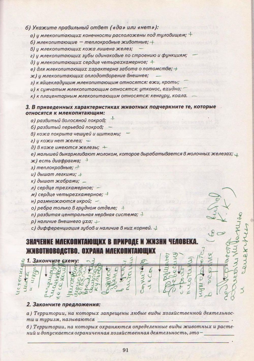 Робочий зошит з біології 8 клас А. Калінчук Страница str91