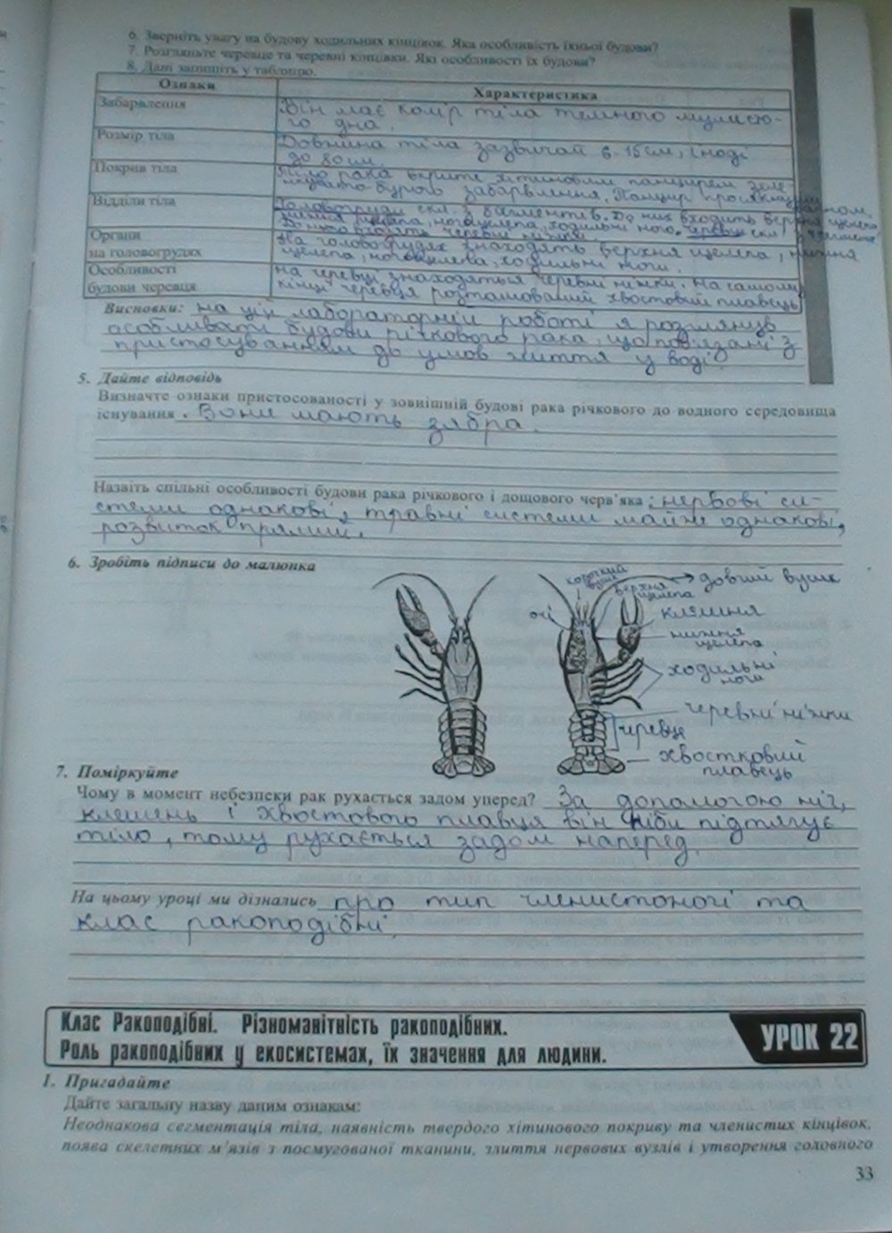 Робочий зошит з біології 8 клас відповіді (друга версія) Н.М. Поліщук Страница str33