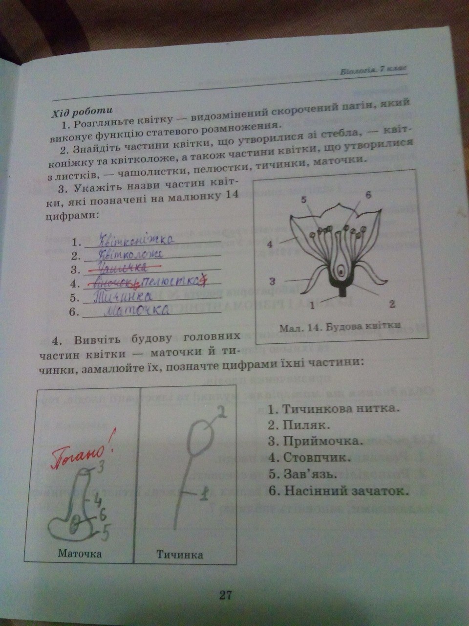 Робочий зошит з біології 7 клас. Лабораторні і практичні роботи. Відповіді Т.С. Котик Страница str27