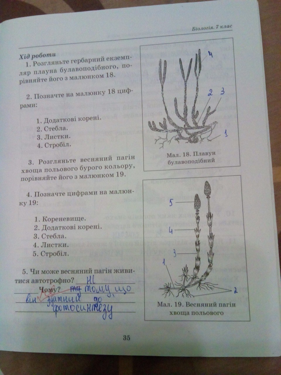 Робочий зошит з біології 7 клас. Лабораторні і практичні роботи. Відповіді Т.С. Котик Страница str35