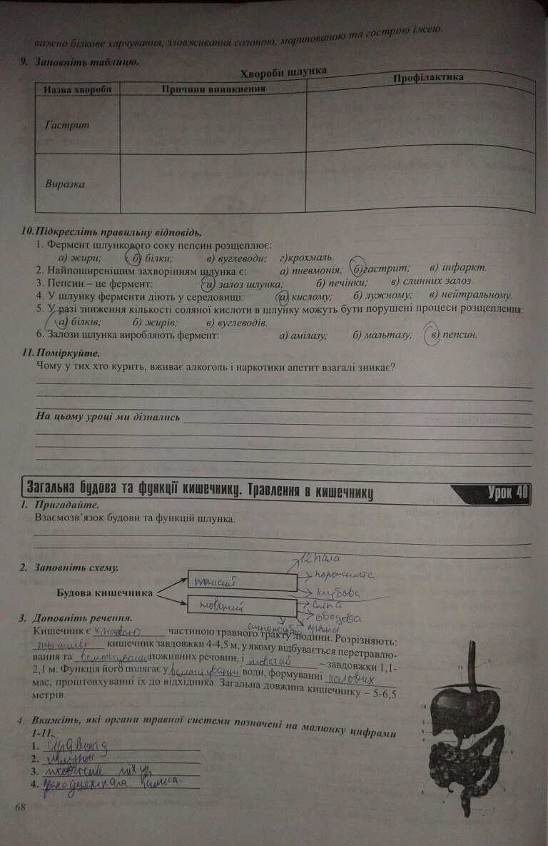 Робочий зошит з біології 9 клас. Частина 1, 2 Н.М. Поліщук Страница 68