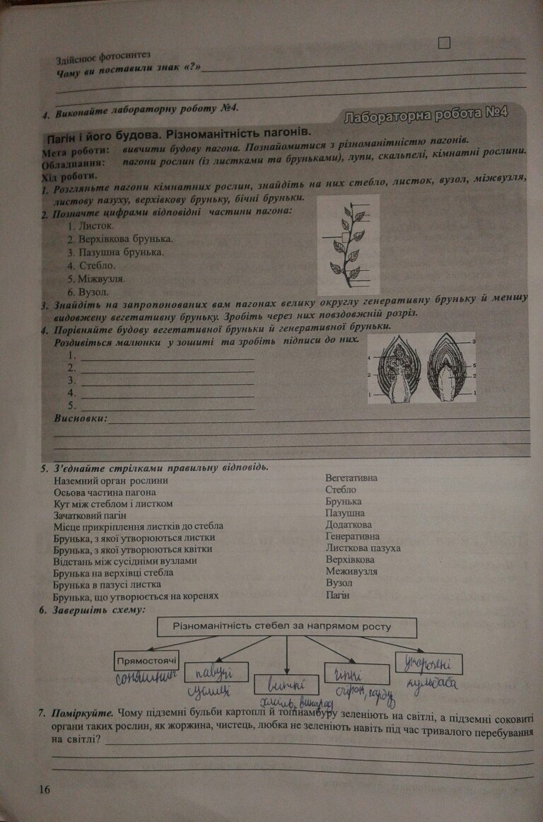 Робочий зошит з біології 7 клас відповіді Н.М. Поліщук Страница 16