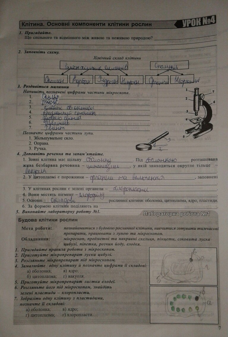 Робочий зошит з біології 7 клас відповіді Н.М. Поліщук Страница 7