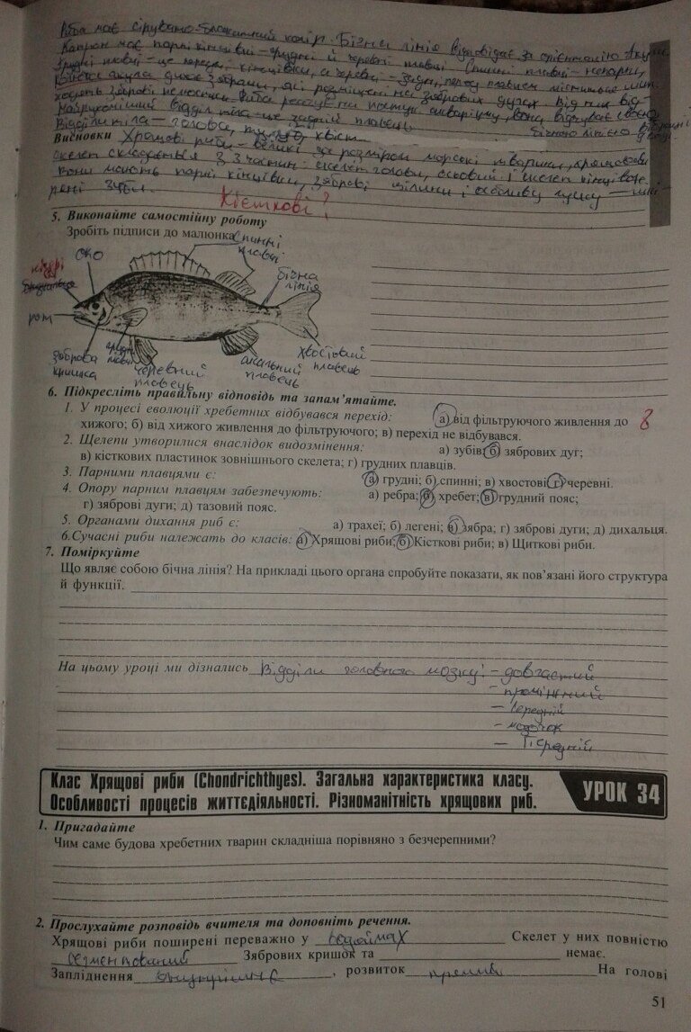 Робочий зошит з біології 8 клас відповіді Поліщук Н.М. Страница 51