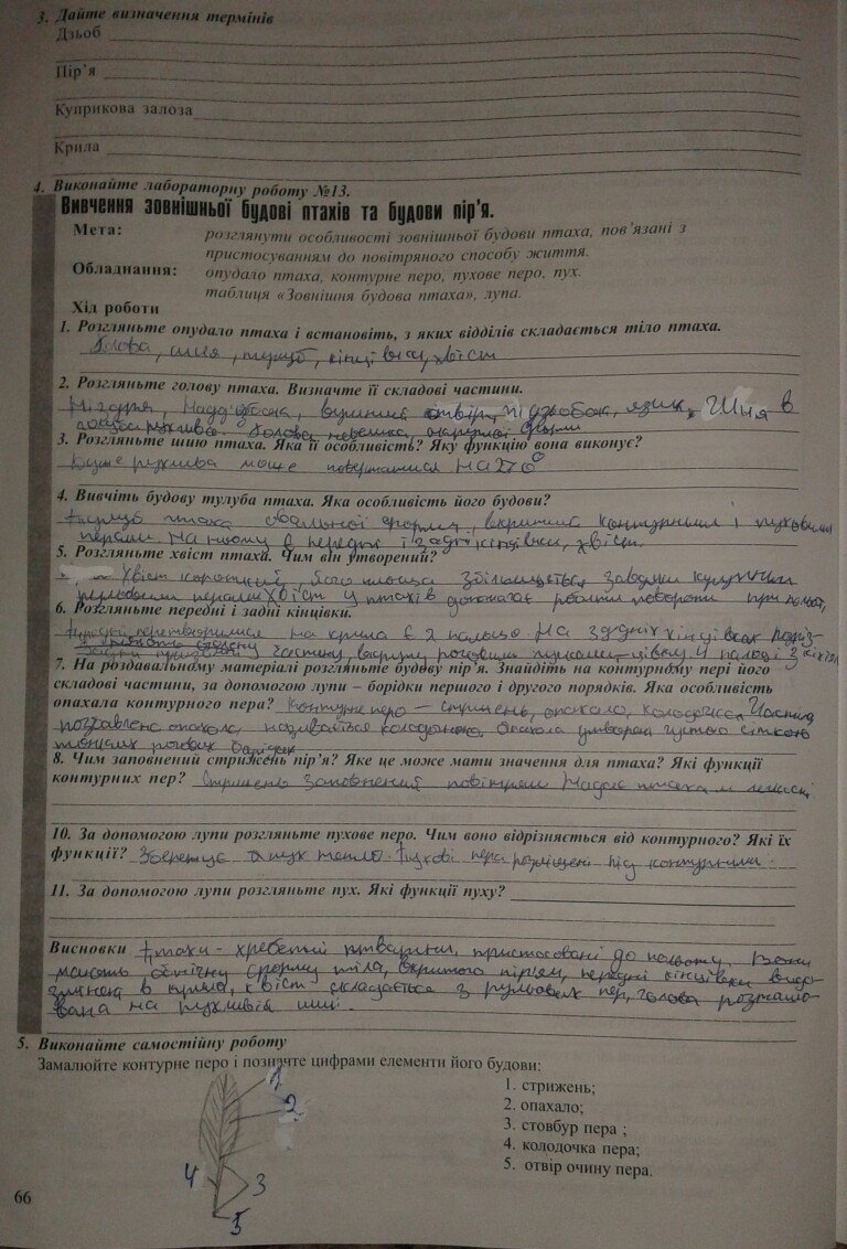 Робочий зошит з біології 8 клас відповіді Поліщук Н.М. Страница 66
