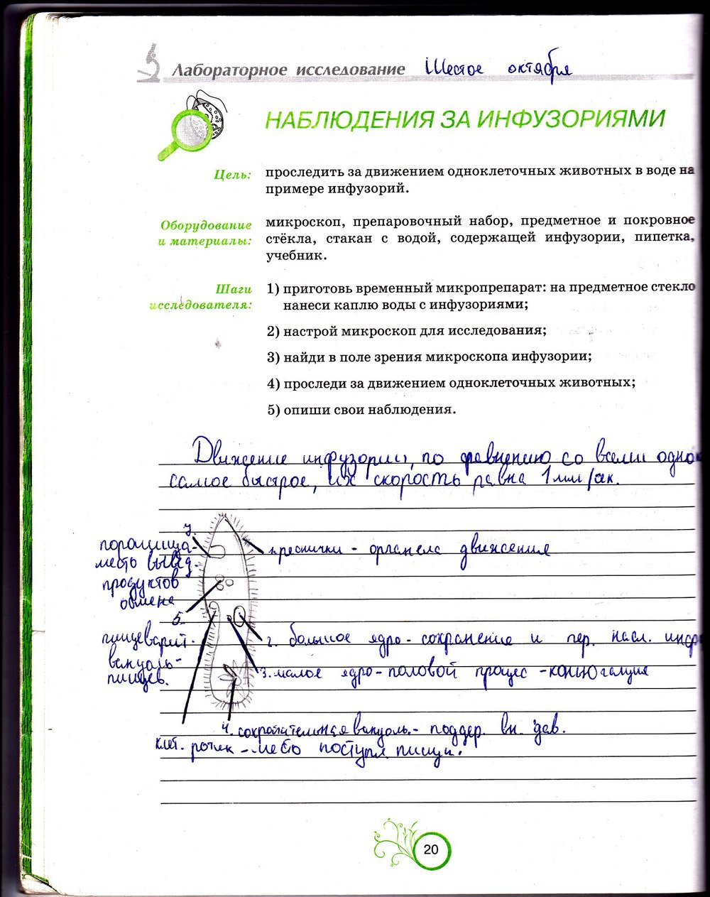 Робочий зошит з біології 6 клас відповіді. Рабочая тетрадь по биологии 6 класс О.А. Андерсон Страница 20