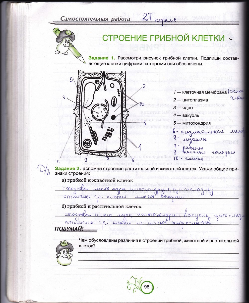 Робочий зошит з біології 6 клас відповіді. Рабочая тетрадь по биологии 6 класс О.А. Андерсон Страница 96