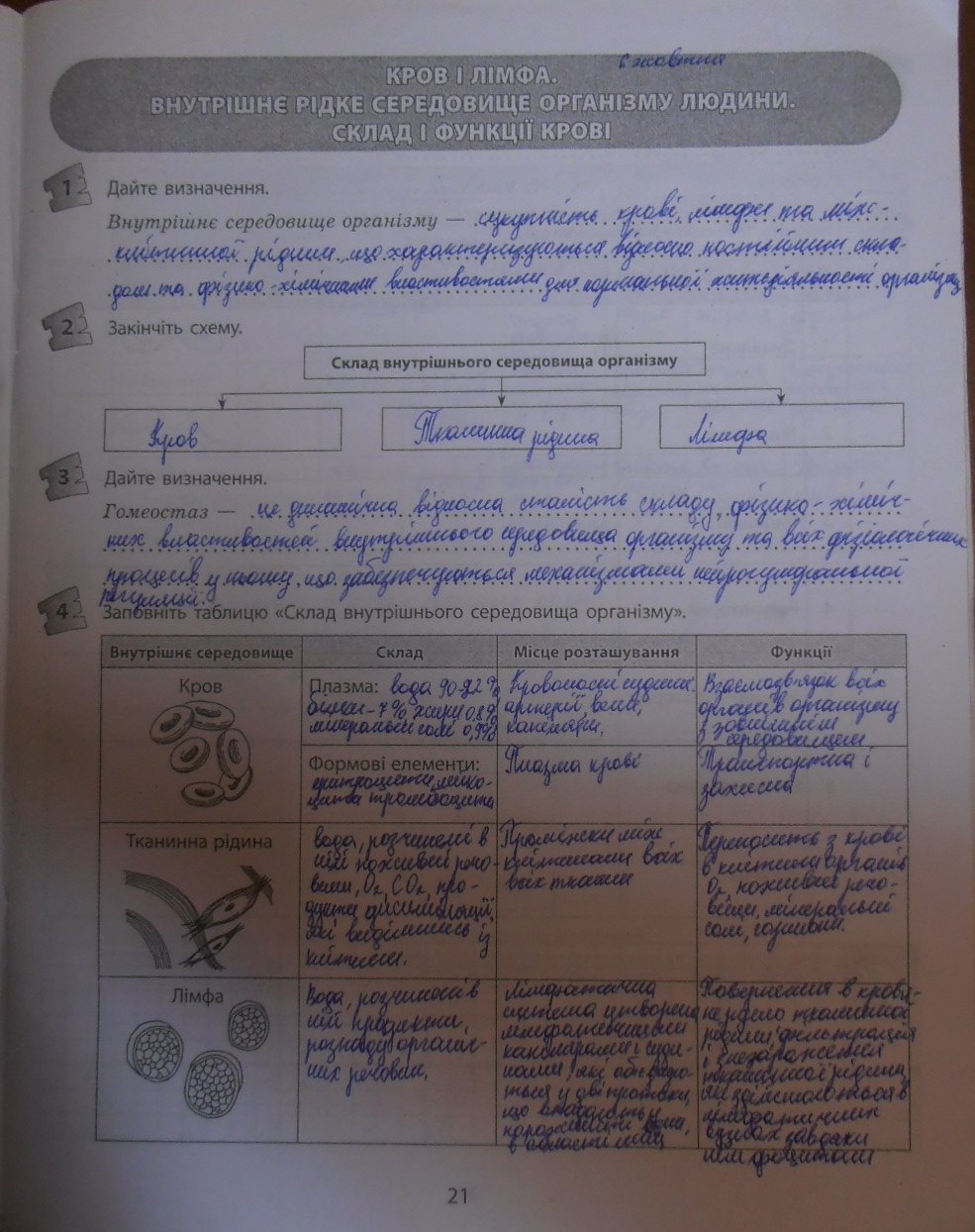 Робочий зошит з біології 9 клас відповіді Т.С. Котик, О.В. Тагліна Страница 21