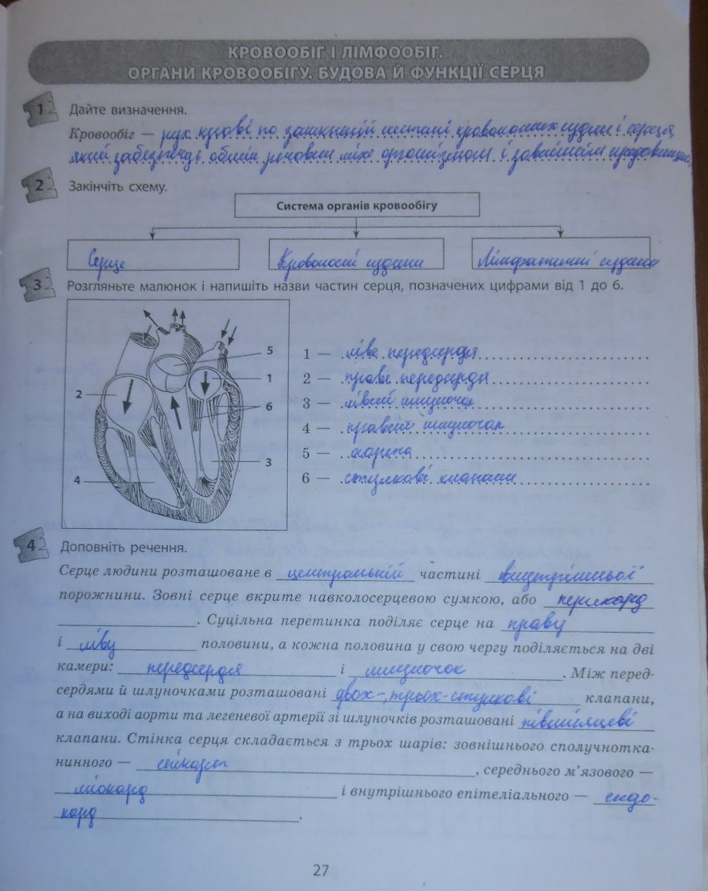 Робочий зошит з біології 9 клас відповіді Т.С. Котик, О.В. Тагліна Страница 27