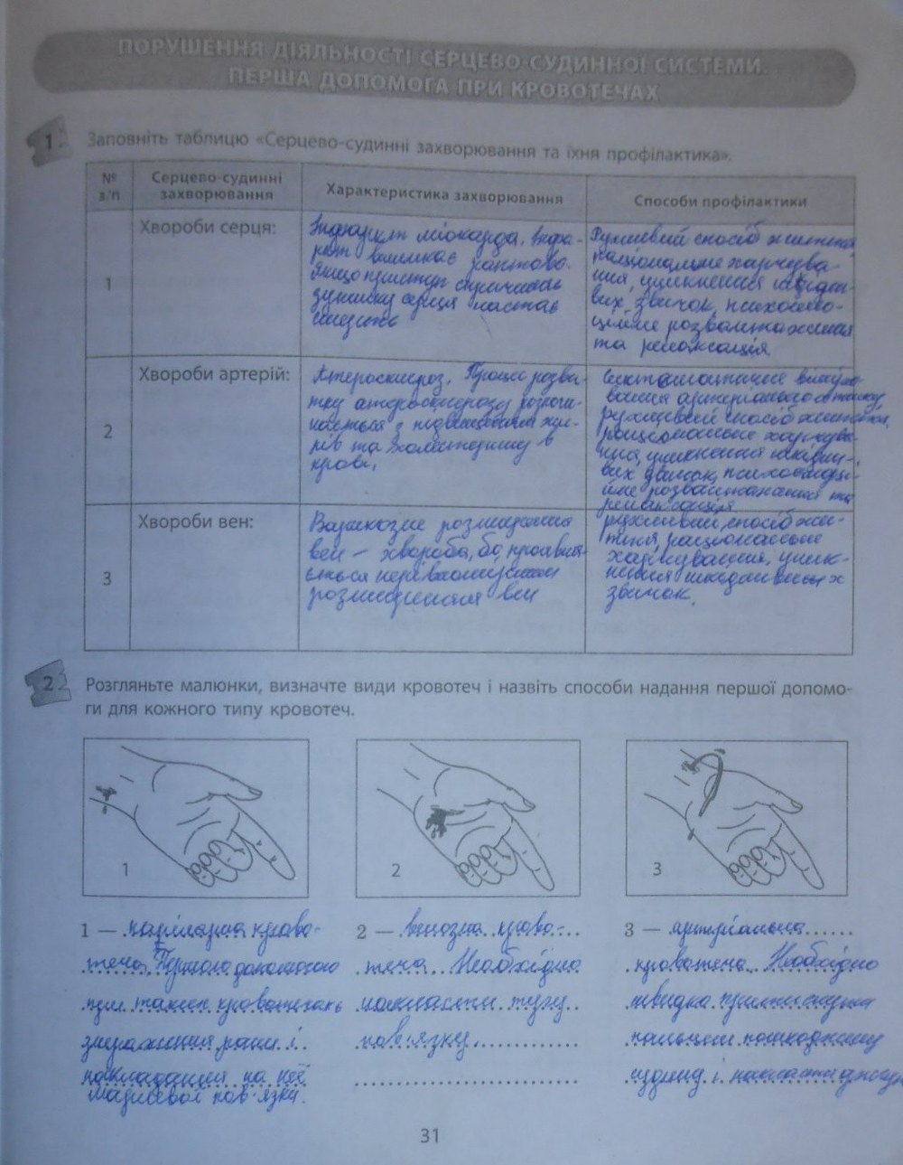 Робочий зошит з біології 9 клас відповіді Т.С. Котик, О.В. Тагліна Страница 31