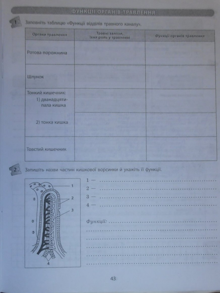 Робочий зошит з біології 9 клас відповіді Т.С. Котик, О.В. Тагліна Страница 43