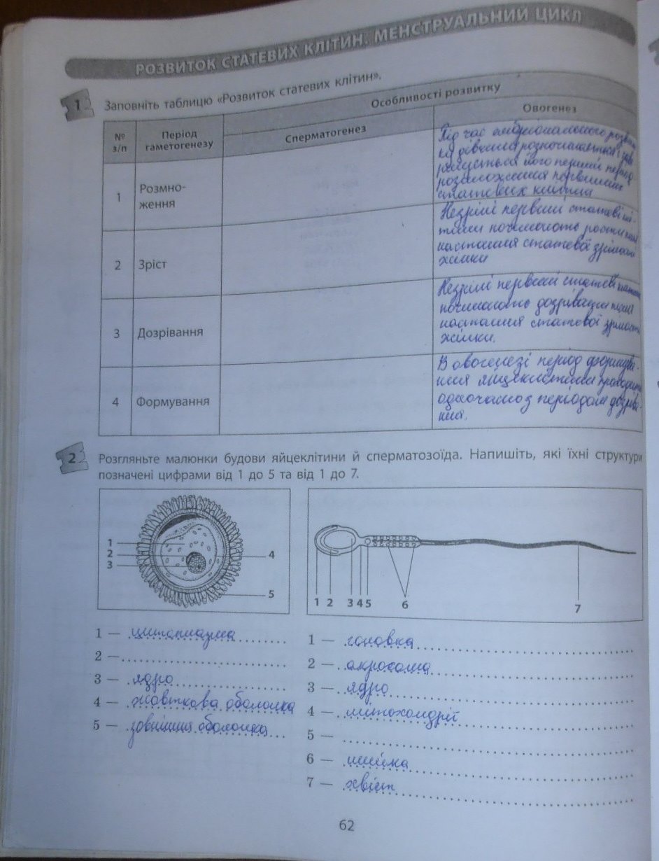 Робочий зошит з біології 9 клас відповіді Т.С. Котик, О.В. Тагліна Страница 62