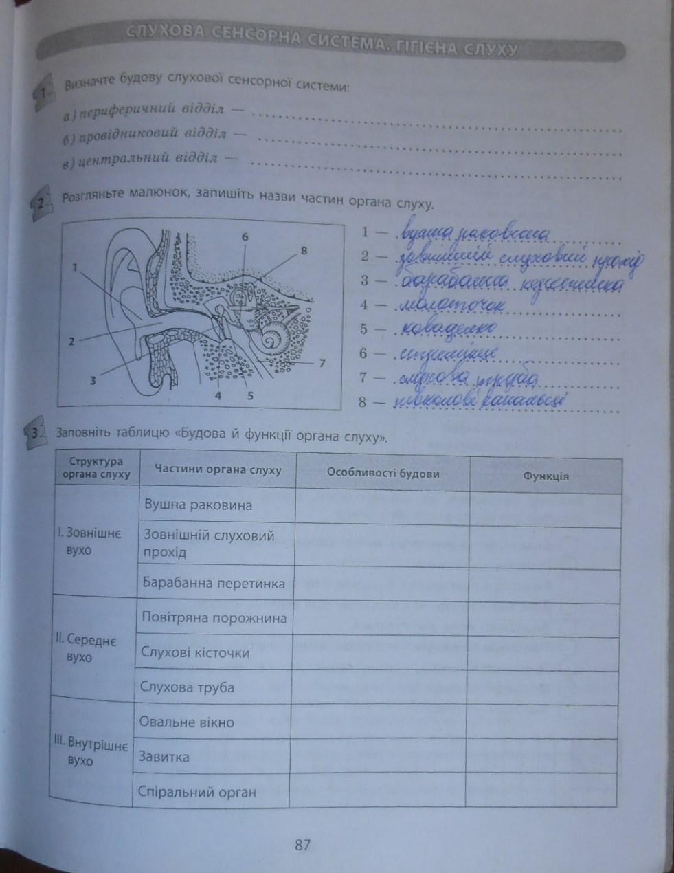 Робочий зошит з біології 9 клас відповіді Т.С. Котик, О.В. Тагліна Страница 87