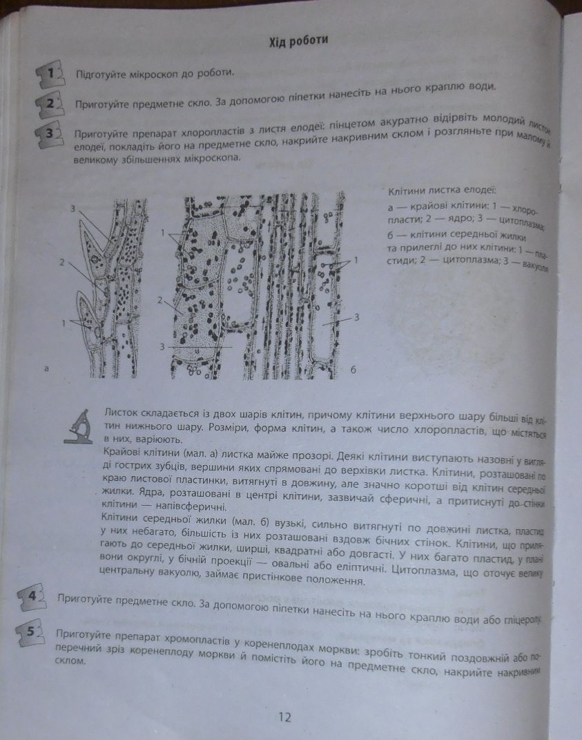 Робочий зошит з біології 10 клас відповіді Т.С. Котик, О.В. Тагліна Страница str12