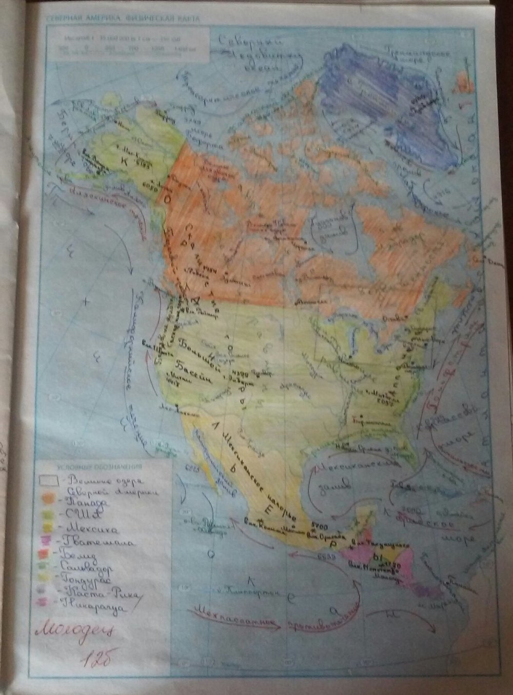 Рабочая тетрадь по географии 7 класс. География материков и океанов. Тетрадь для практических работ О.Г. Стадник Страница 37
