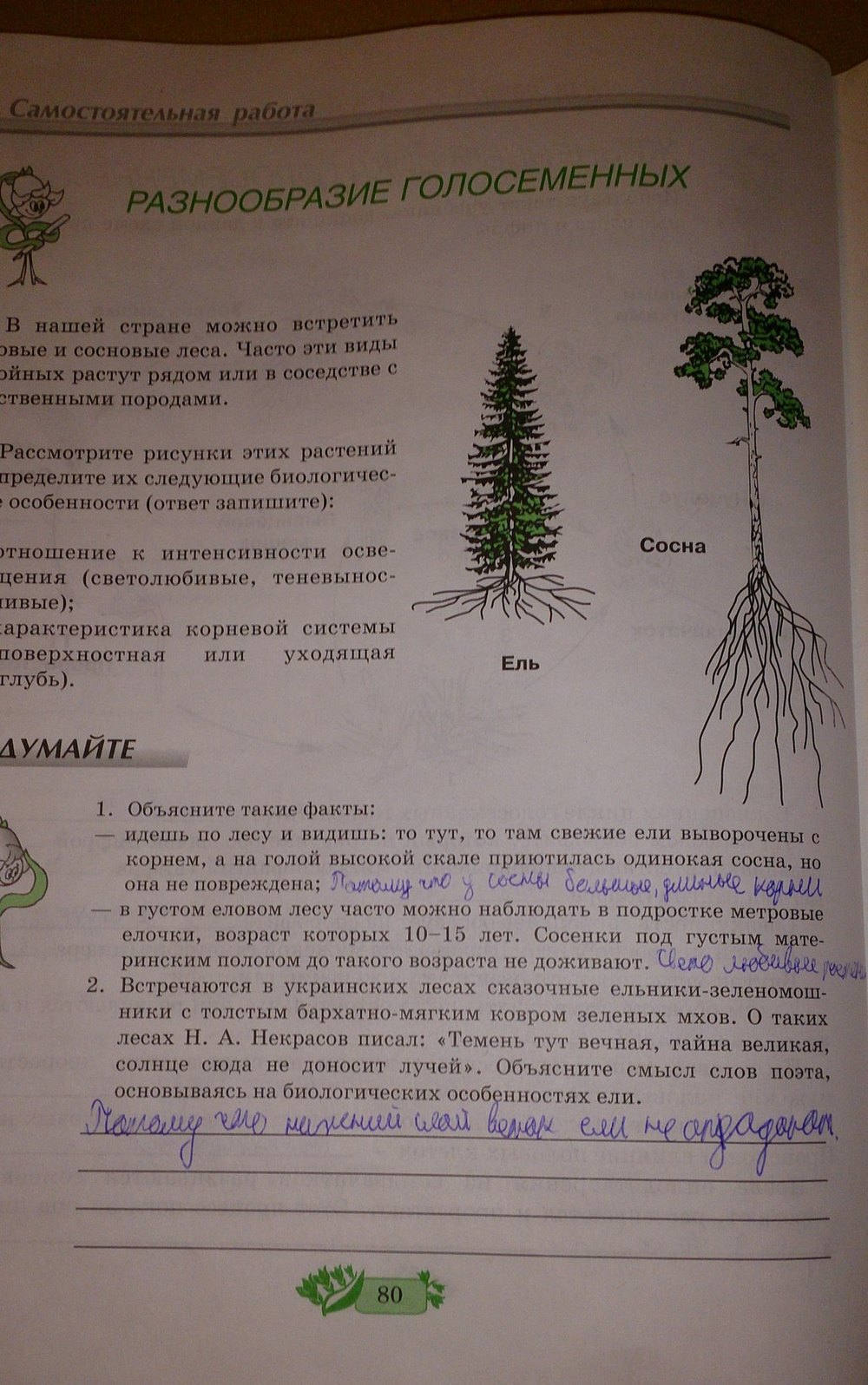 Робочий зошит з біології 7 клас О.А. Андерсон Страница 80