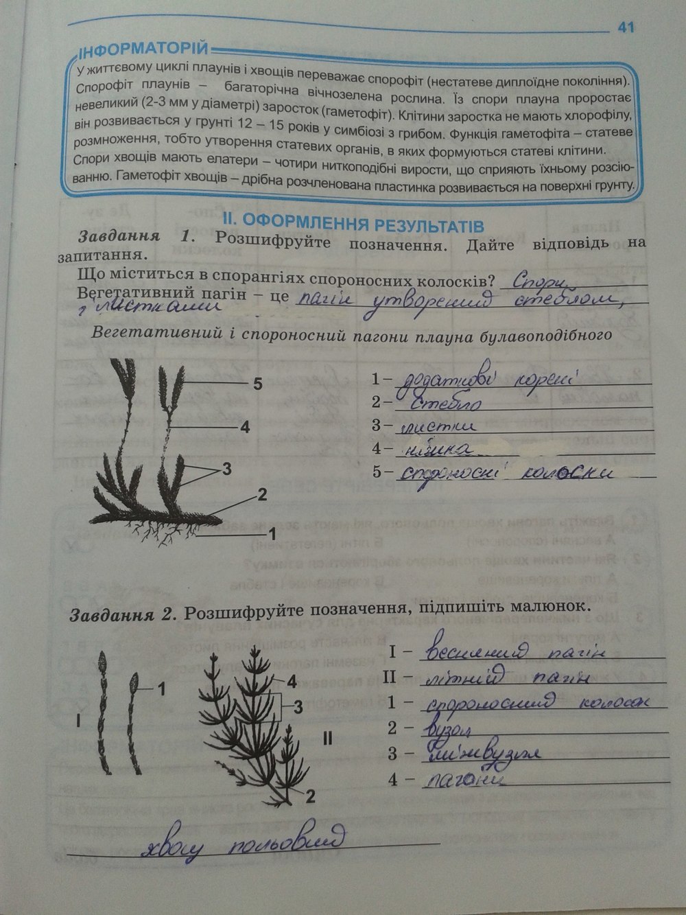 Робочий зошит з біології 7 клас. Зошит для лабораторних та практичних робіт Н.В. Шилова Страница 41