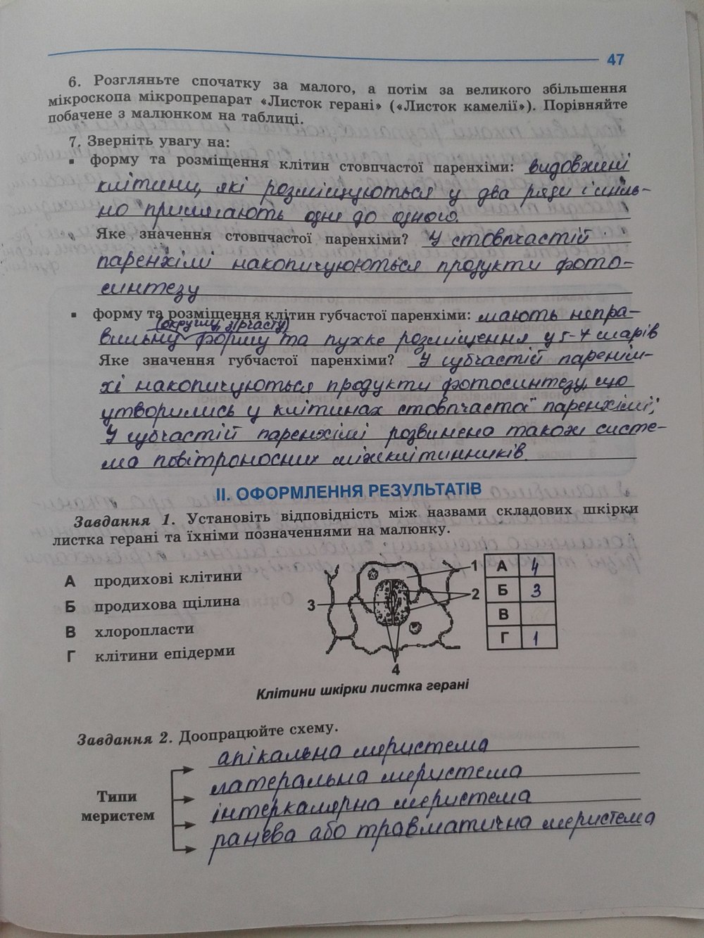 Робочий зошит з біології 10 клас. Зошит для лабораторних та практичних робіт Н.И. Новикова Страница 47