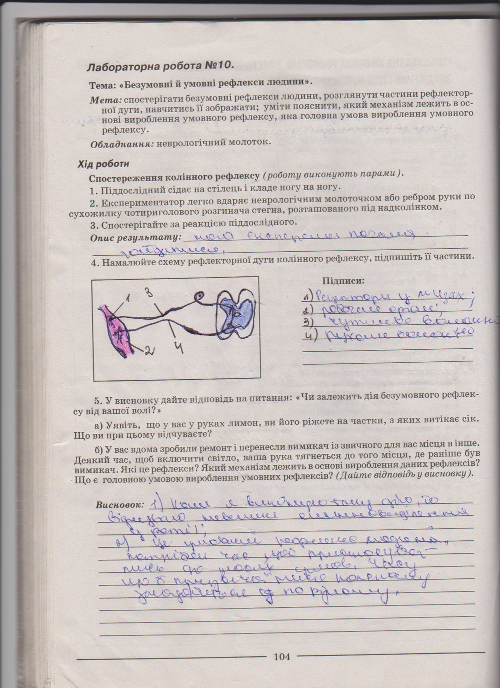 Робочий зошит з біології 9 клас А. Калінчук, Н. Гусєва Страница 104