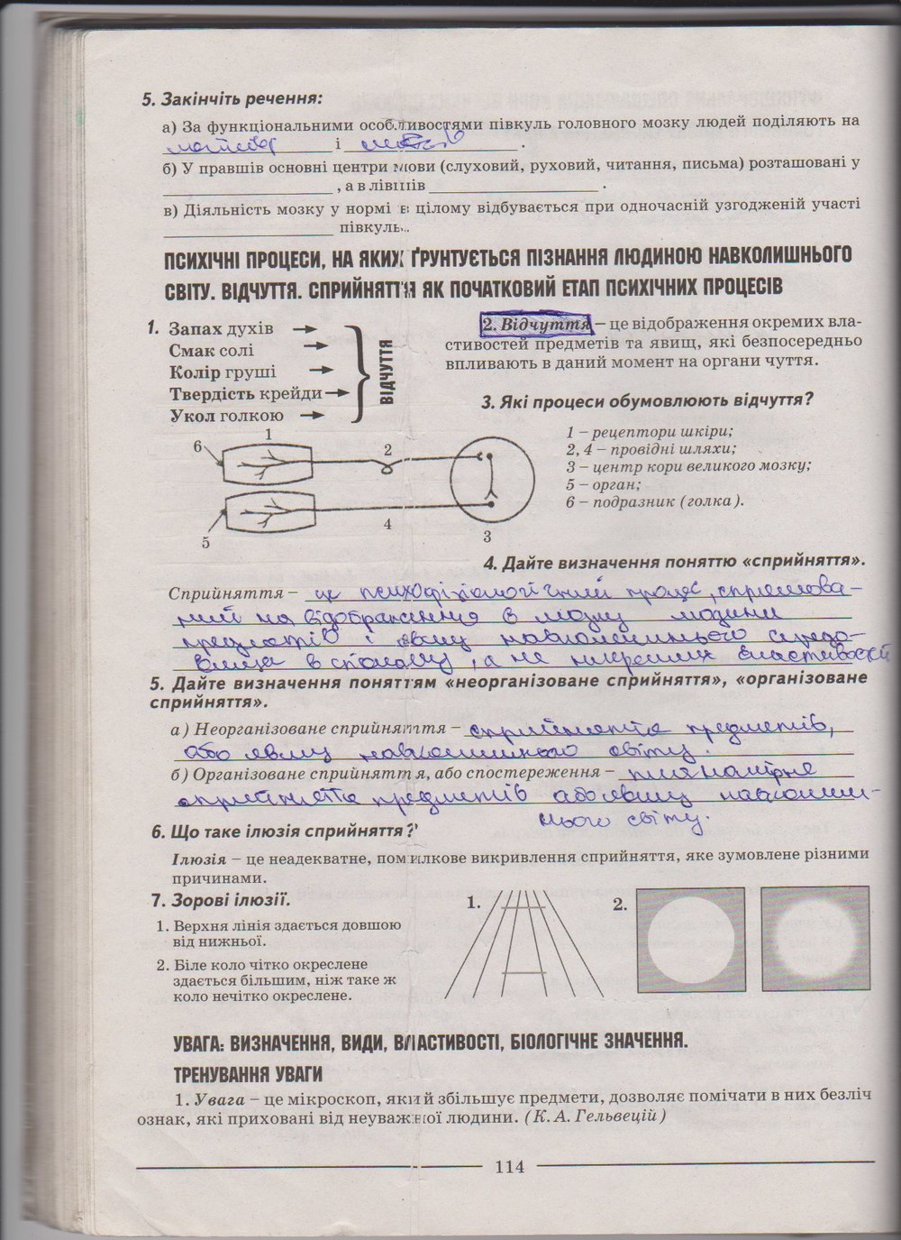 Робочий зошит з біології 9 клас А. Калінчук, Н. Гусєва Страница 114