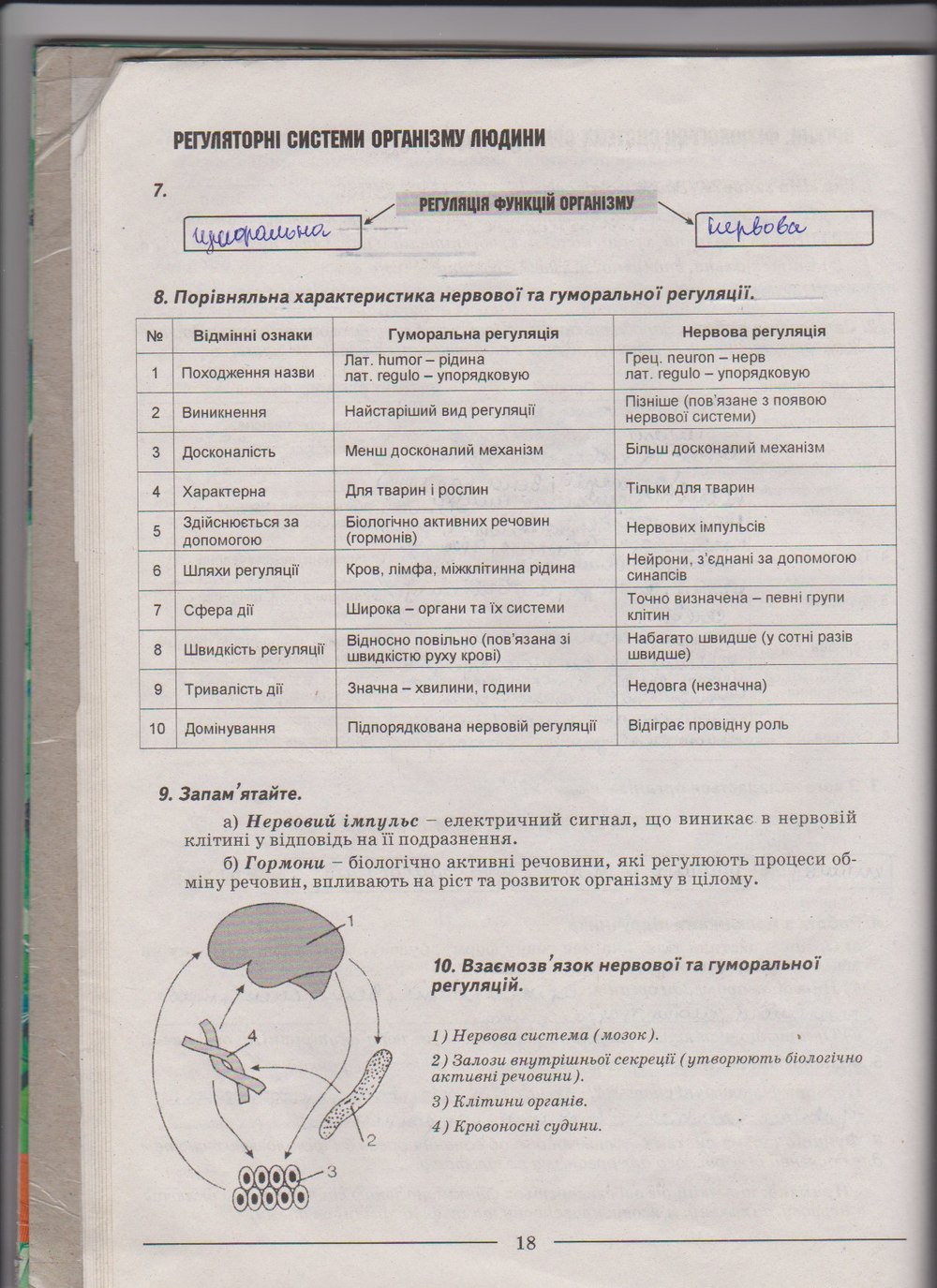 Робочий зошит з біології 9 клас А. Калінчук, Н. Гусєва Страница 18