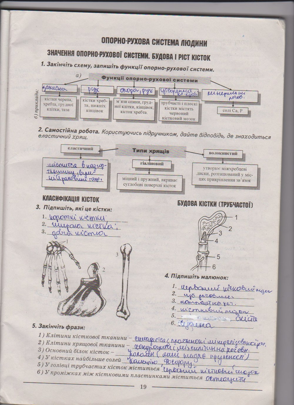 Робочий зошит з біології 9 клас А. Калінчук, Н. Гусєва Страница 19