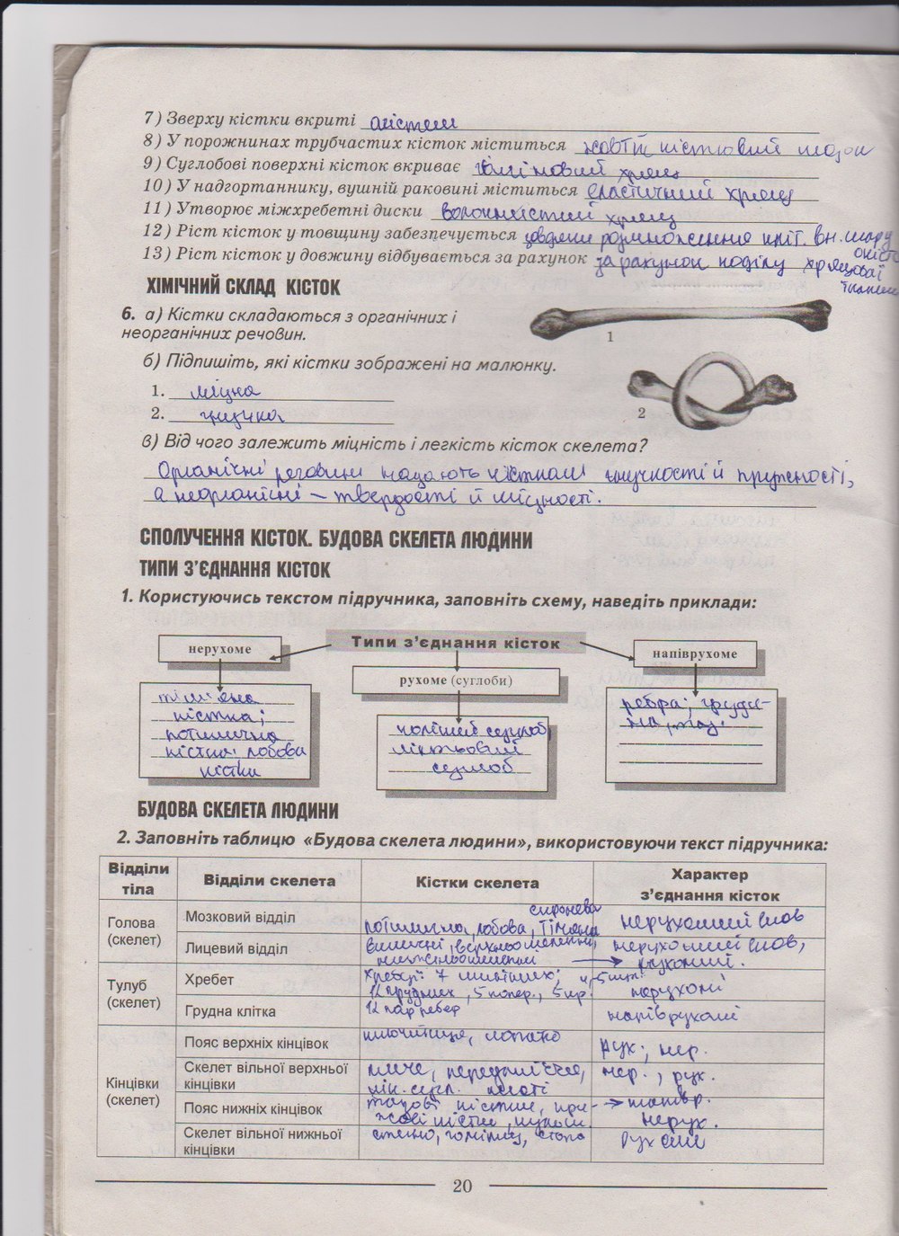Робочий зошит з біології 9 клас А. Калінчук, Н. Гусєва Страница 20