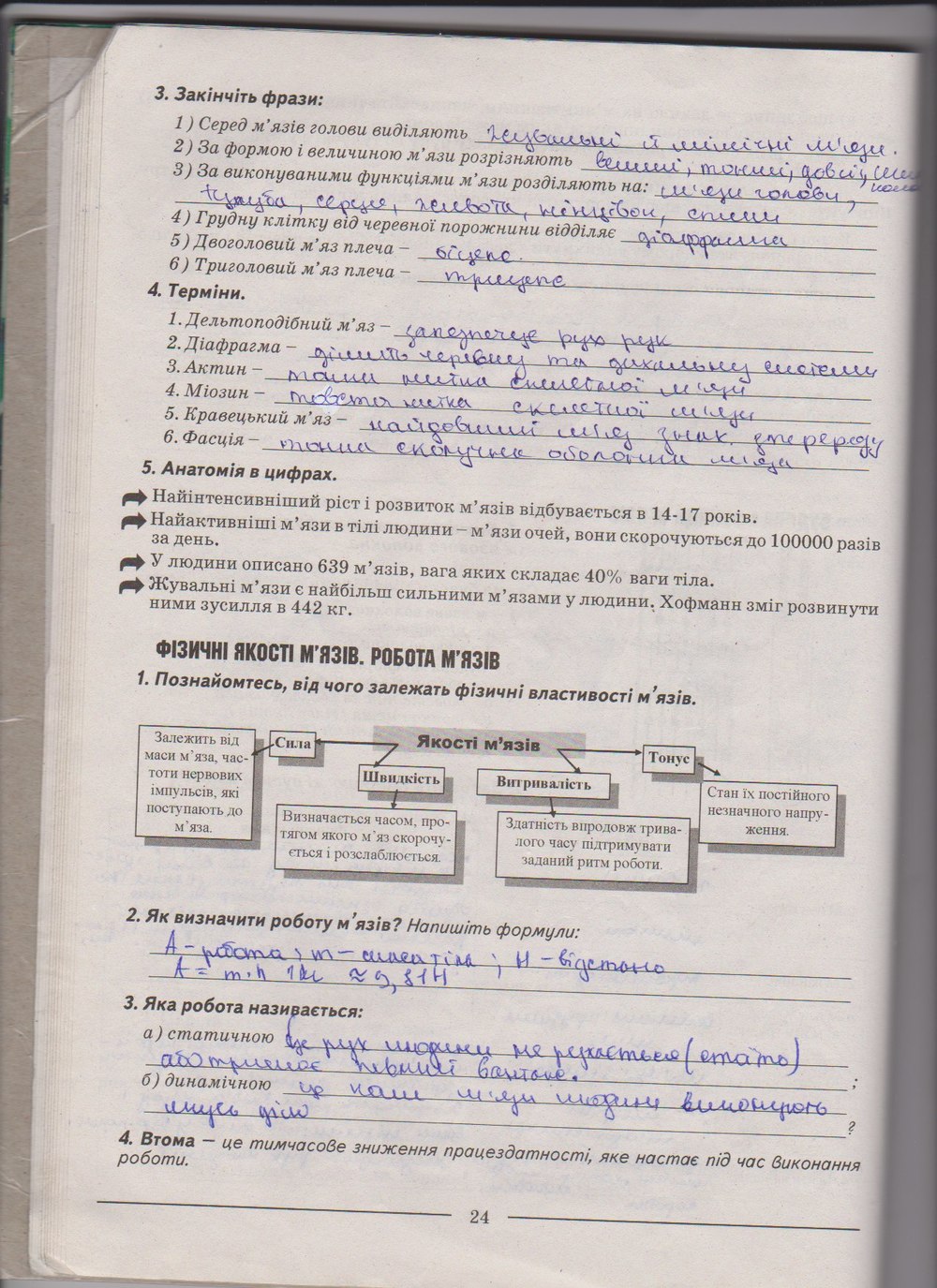 Робочий зошит з біології 9 клас А. Калінчук, Н. Гусєва Страница 24