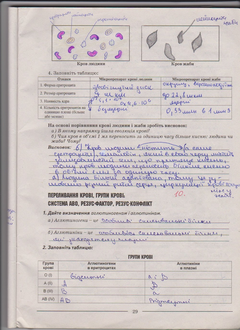 Робочий зошит з біології 9 клас А. Калінчук, Н. Гусєва Страница 29