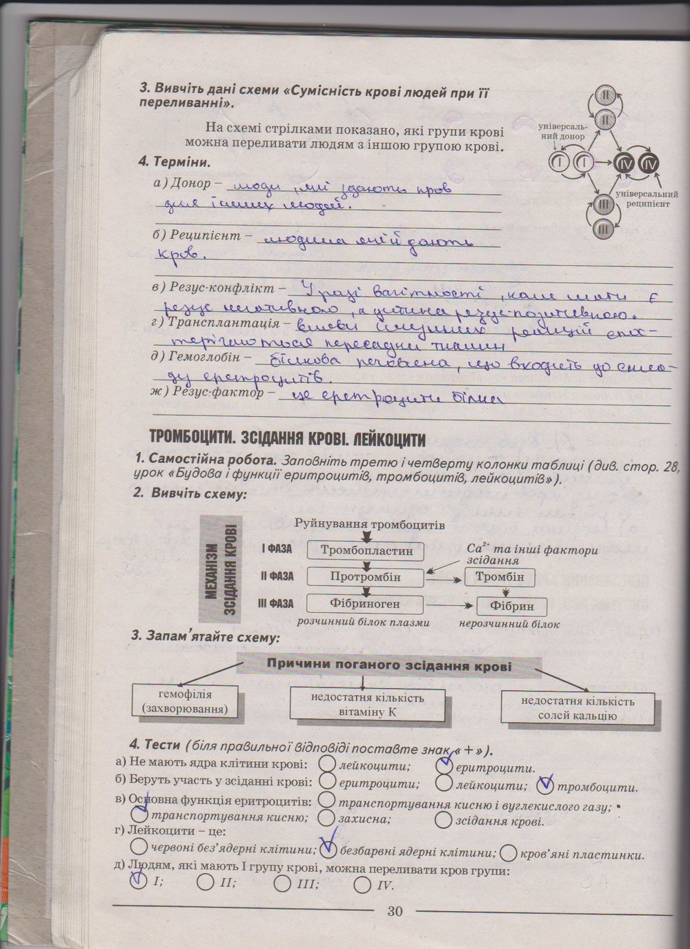 Робочий зошит з біології 9 клас А. Калінчук, Н. Гусєва Страница 30