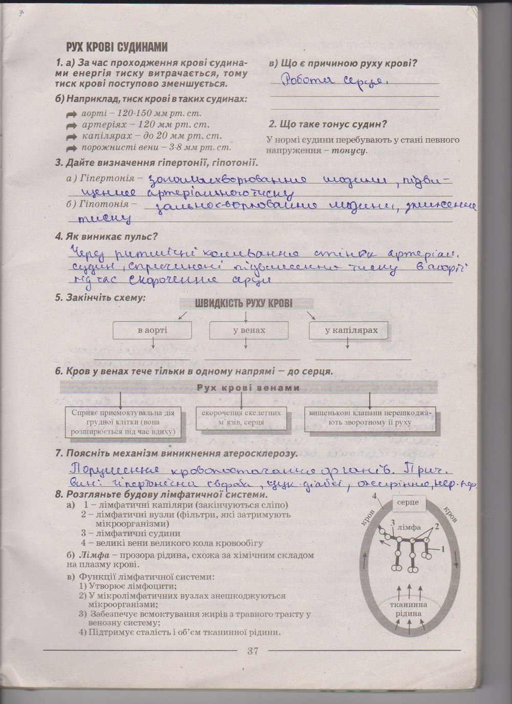 Робочий зошит з біології 9 клас А. Калінчук, Н. Гусєва Страница 37