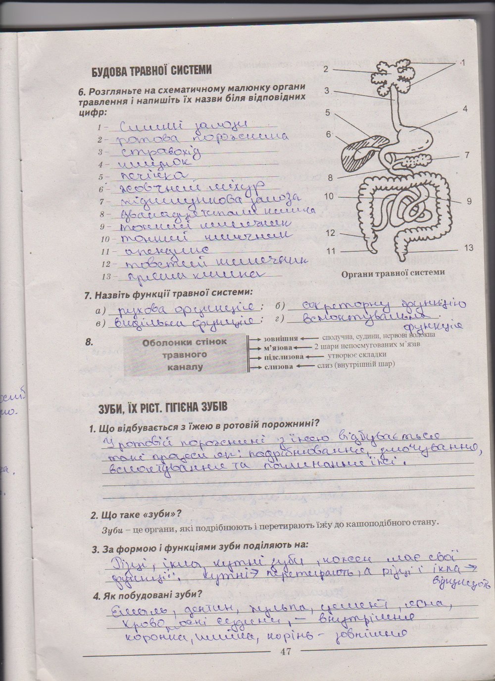 Робочий зошит з біології 9 клас А. Калінчук, Н. Гусєва Страница 47