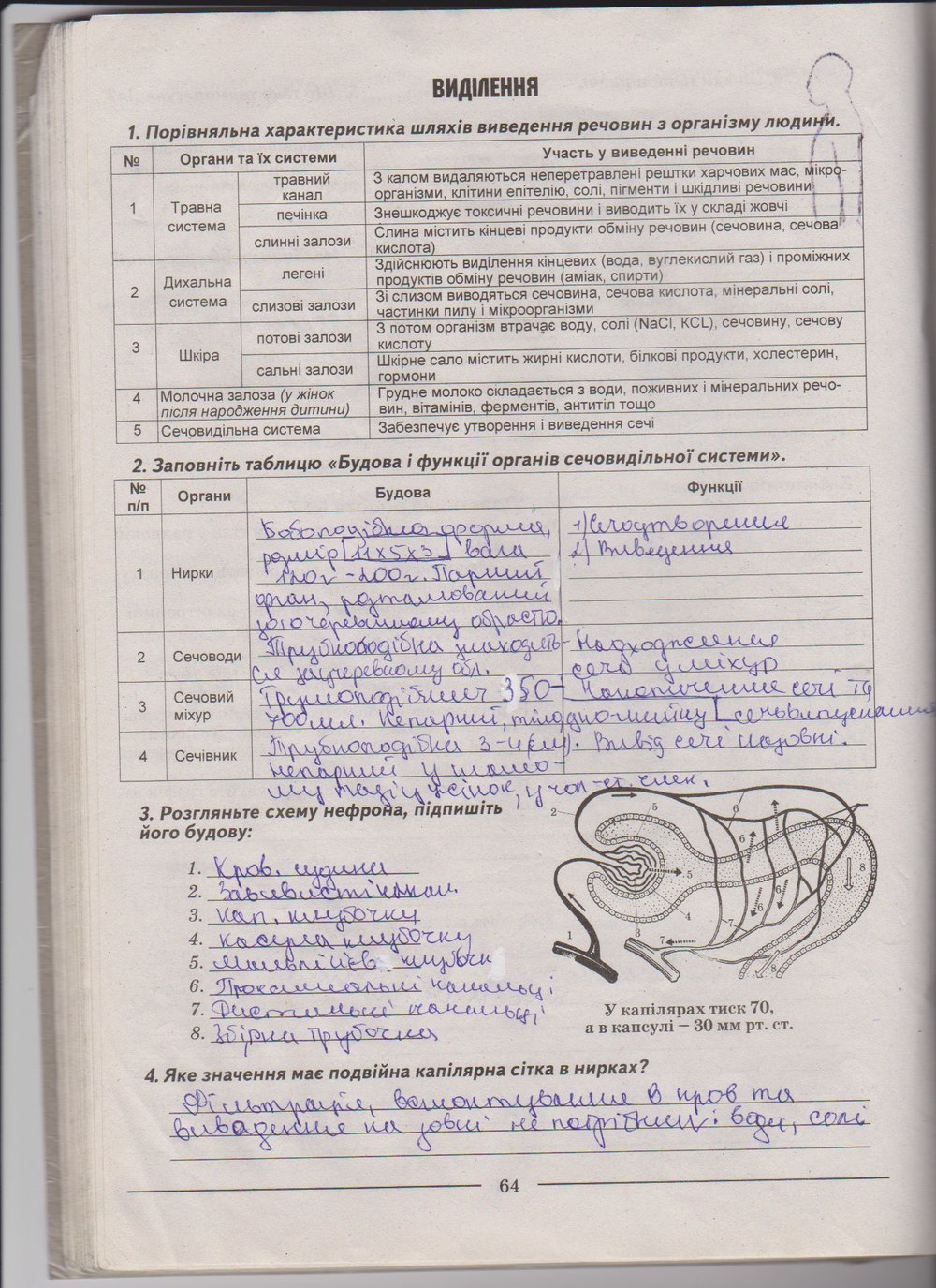 Робочий зошит з біології 9 клас А. Калінчук, Н. Гусєва Страница 64