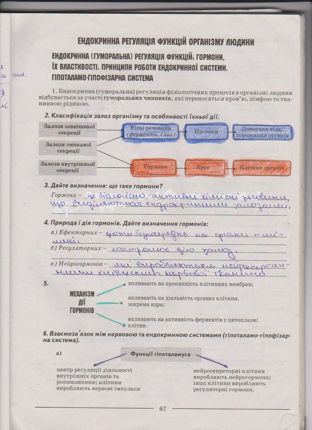 Робочий зошит з біології 9 клас А. Калінчук, Н. Гусєва Страница 67