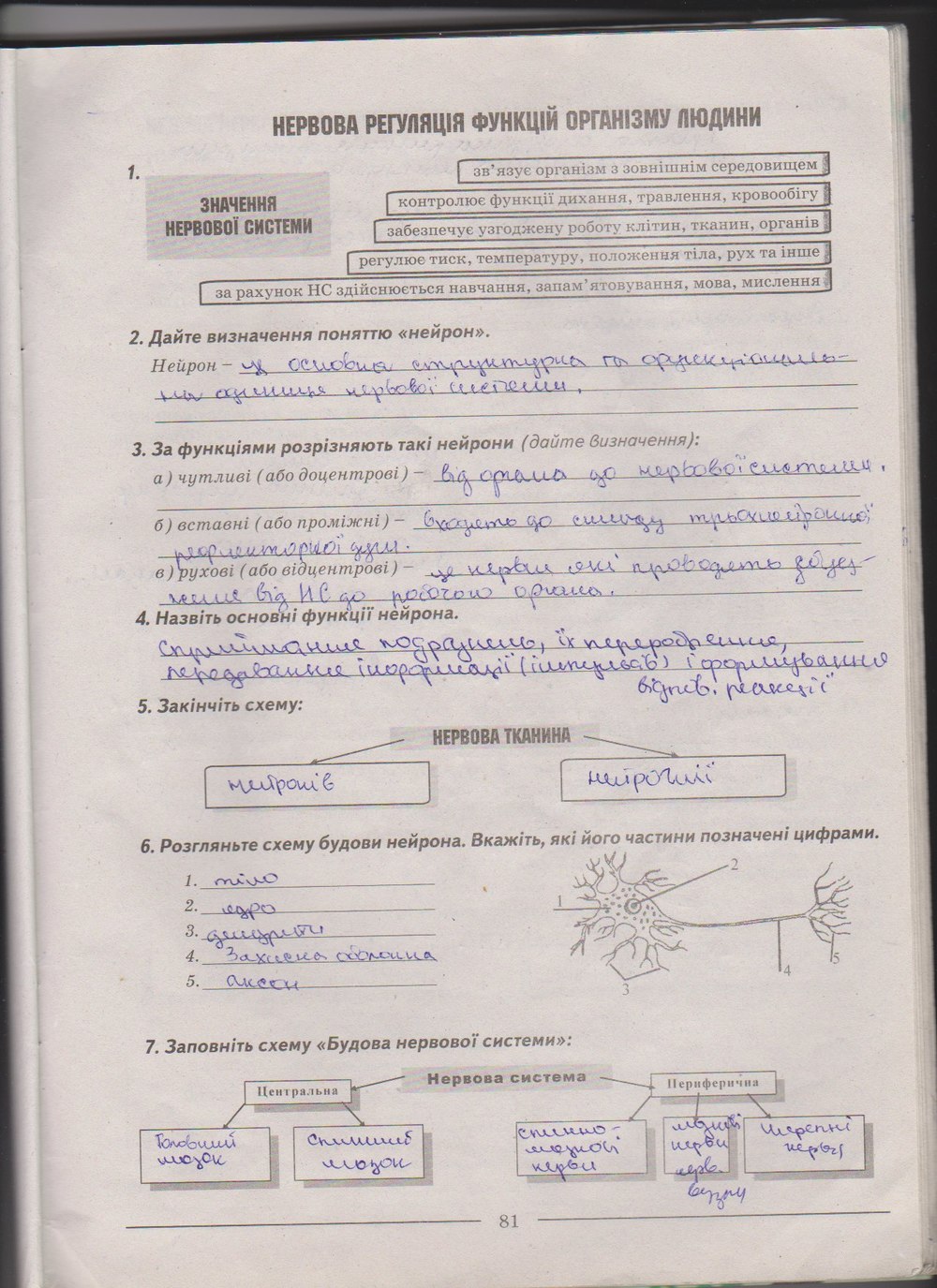 Робочий зошит з біології 9 клас А. Калінчук, Н. Гусєва Страница 81