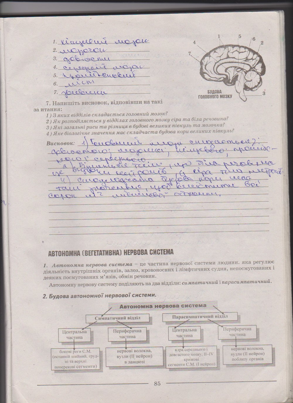 Робочий зошит з біології 9 клас А. Калінчук, Н. Гусєва Страница 85