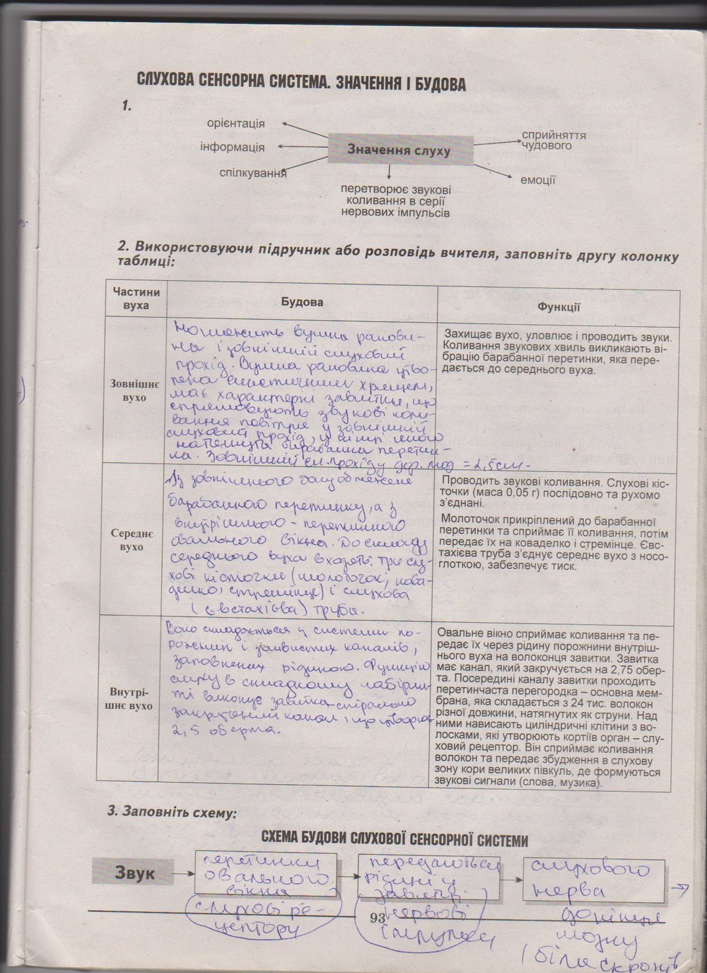 Робочий зошит з біології 9 клас А. Калінчук, Н. Гусєва Страница 93