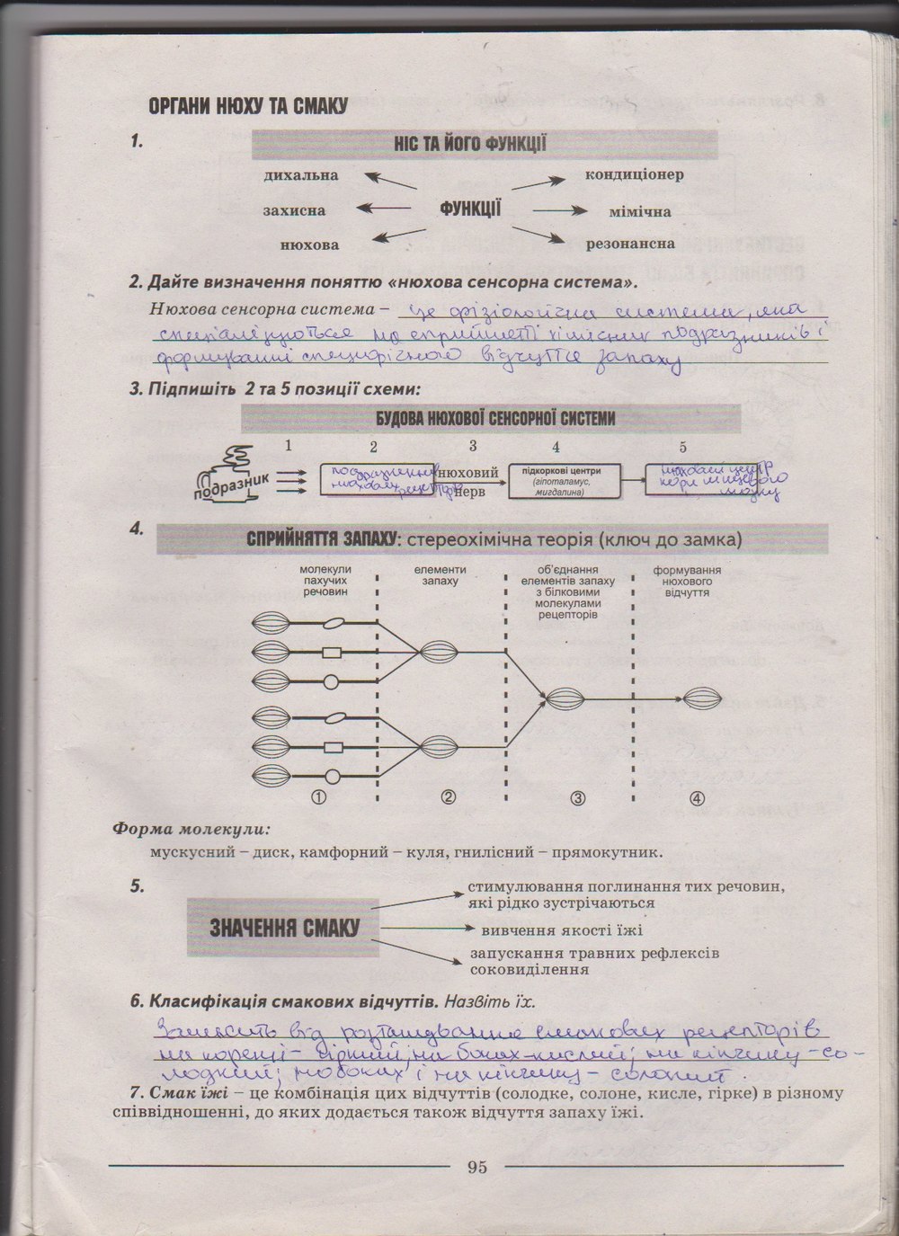 Робочий зошит з біології 9 клас А. Калінчук, Н. Гусєва Страница 95