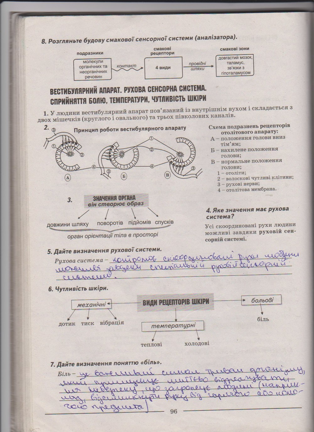 Робочий зошит з біології 9 клас А. Калінчук, Н. Гусєва Страница 96