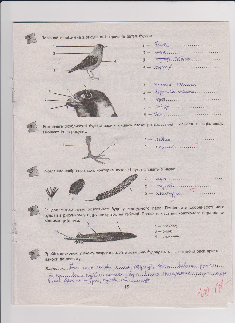 Робочий зошит з біології 8 клас Т.С. Котик, О.В. Тагліна Страница 15