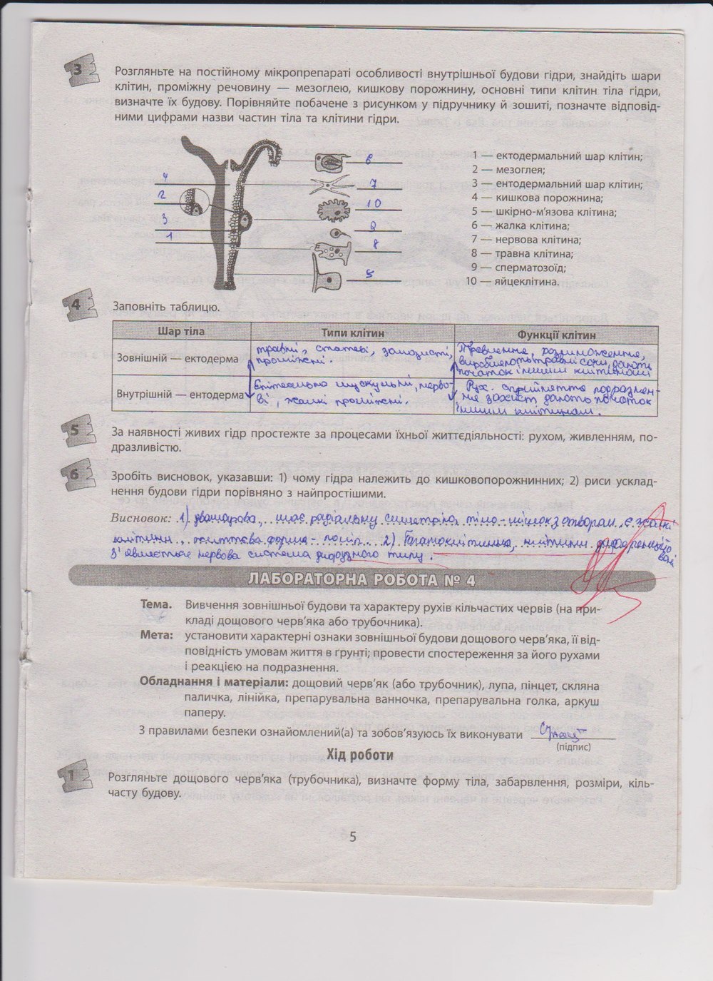 Робочий зошит з біології 8 клас Т.С. Котик, О.В. Тагліна Страница 5